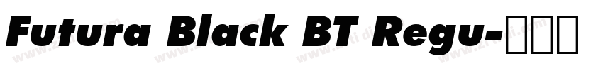 Futura Black BT Regu字体转换
